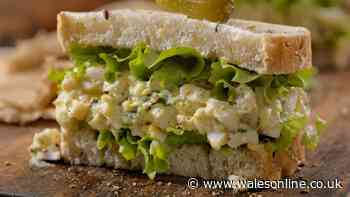Egg sandwiches are deliciously tangy and healthy when one simple ingredient is added