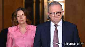 Anthony Albanese to fly to the United States to meet Apple boss - after he revealed he was inspired by Albanese government