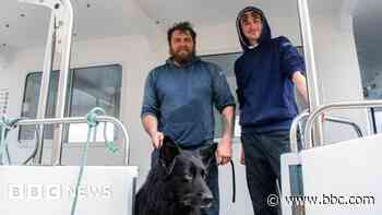 Bruce the dog rescued from kayak lost at sea