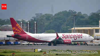 SpiceJet's cash crunch deepens: Many pilots unpaid since March, airline seeks emergency loan