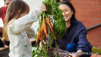 Keep slugs away from vegetables by adding one kitchen scrap to soil