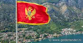 Belg (34) smokkelt vrouw onder grote bos bloemen in Montenegro en denkt daarmee weg te komen