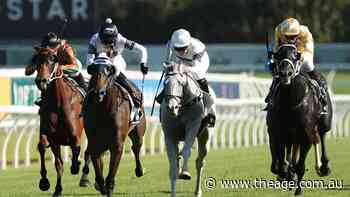 Tips and previews for racing at Kensington on Wednesday