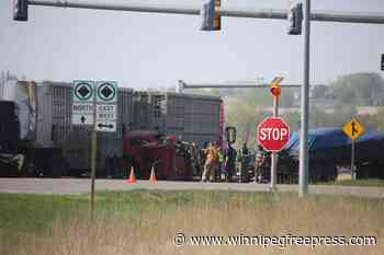 Truck driver charged in deadly crash granted bail