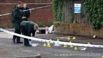 Belfast attack leaves man fighting for life after being 'stabbed in the head'