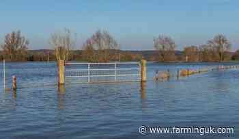 Government announces £50m flood package for Somerset farms