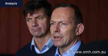 How long does Angus Taylor have to save the Liberal Party?