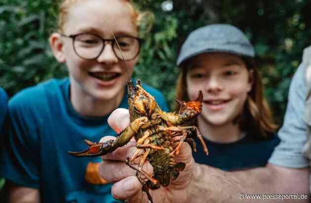 Klein, aber oho: Was Kinder im Bayerischen Wald entdecken können / Wildnis-Staunen, Tierpark-Glück und echtes Glasblasen - der Bayerische Wald schafft unvergessliche Familienmomente
