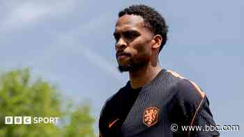 Netherlands' Timber out of World Cup with injury