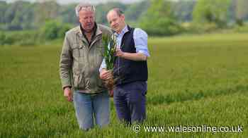 Clarkson's Farm season 5 release time: What time are new episodes out?