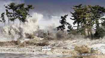 Tofino, B.C., tsunami study points to hundreds dead, $1B in losses