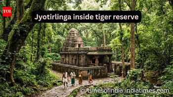 This is the only Jyotirlinga Temple located inside India’s largest tiger reserve; here’s how to reach It