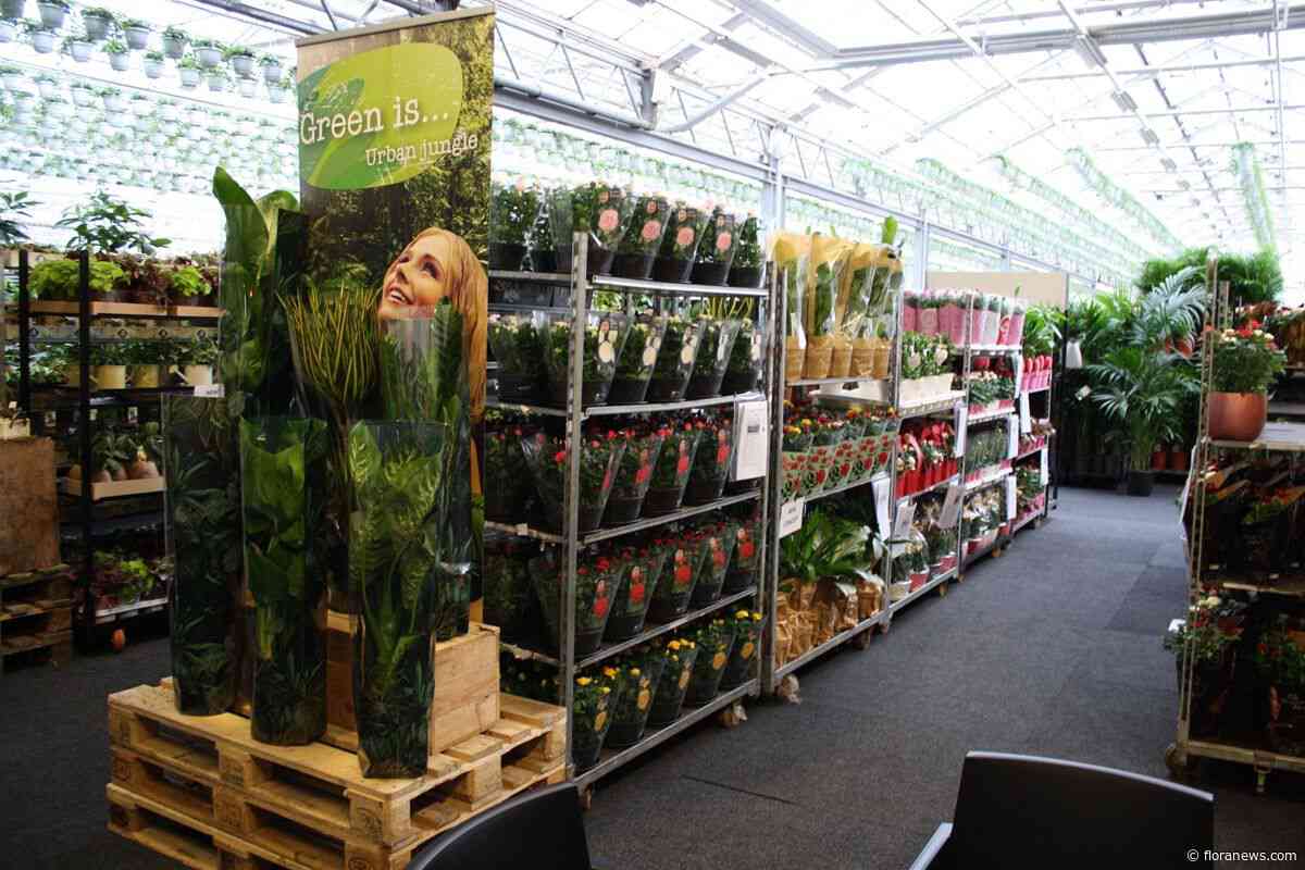 Meer dan 40 kwekers presenteren retailproducten tijdens Vireõ Retail Fair
