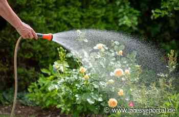 TÜV SÜD gibt Tipps zur modernen Gartenbewässerung