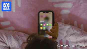 New Apple child safety features 'part inspired' by Australia social media ban