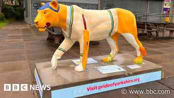 Lion sculpture trail in aid of hospital A&E appeal