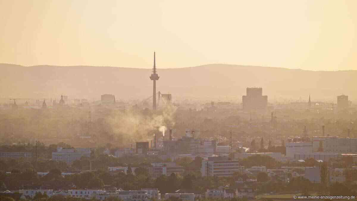 Hitze-Check: Schwitzen in Offenburg, Schatten in Kiel