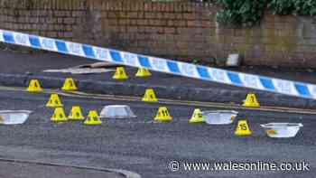 Belfast knife attack leaves man critically injured as suspect arrested for attempted murder