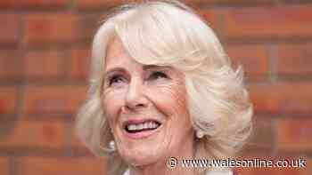 Queen Camilla's simple daily breakfast 'slashes cholesterol' for healthy heart