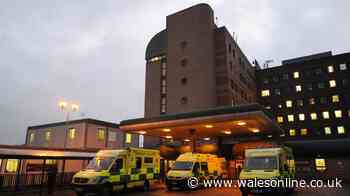 Leaked letter claims hospital bosses ignored problems for years before horrific blunder