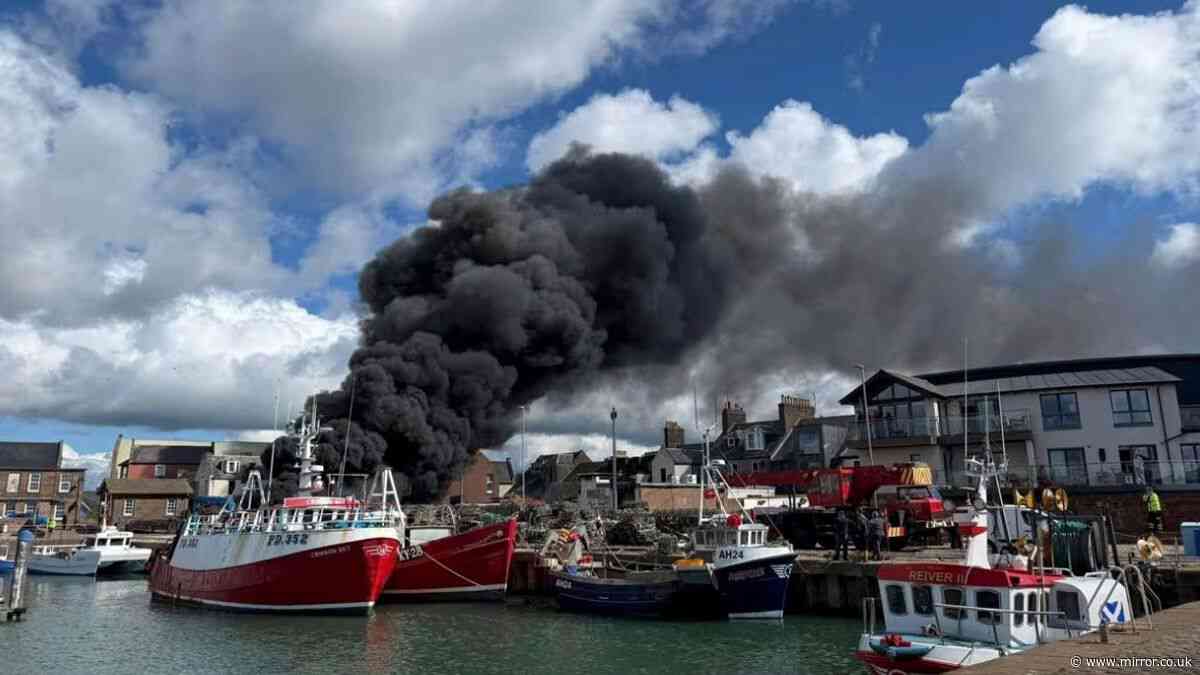 Massive fire breaks out at Arbroath harbour as plume of smoke engulfs streets