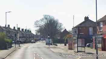 Toddler bitten by 'German Shepherd' in 'extremely distressing' dog attack on Thornaby street