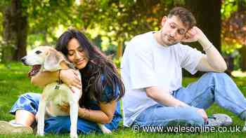 If you think your dog prefers your partner, you're right, expert says