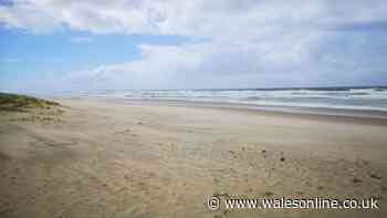Police issue update after major search off the Welsh coast