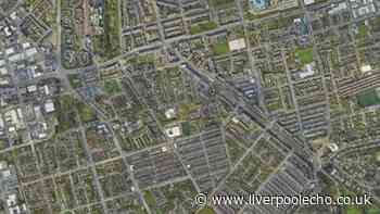 Gang 'seen wielding machetes' on Toxteth street