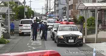 Bear that caused panic and school closures captured in Japan