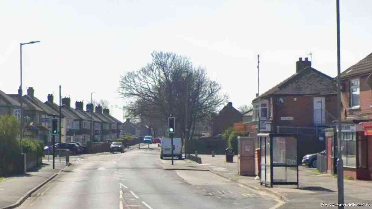 Toddler bitten by 'German Shepherd' in North East dog attack