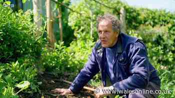 Gardeners’ World’s Monty Don ‘ashamed’ over topless photo behind rise to fame