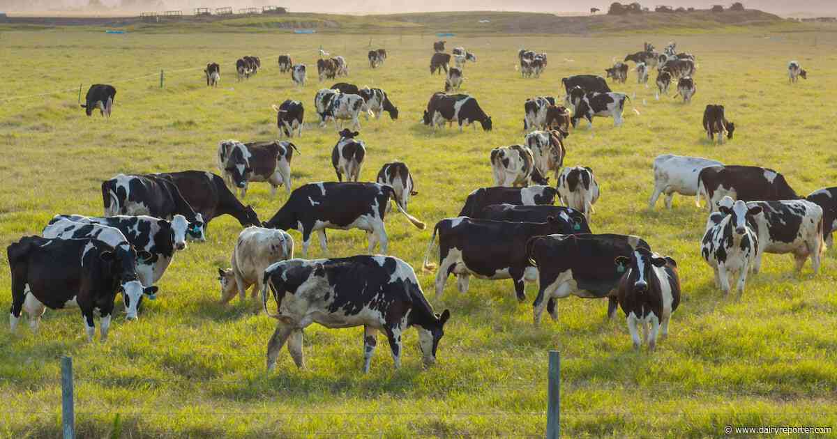 Can dairy thrive in the age of methane transparency?