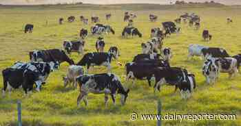 Can dairy thrive in the age of methane transparency?