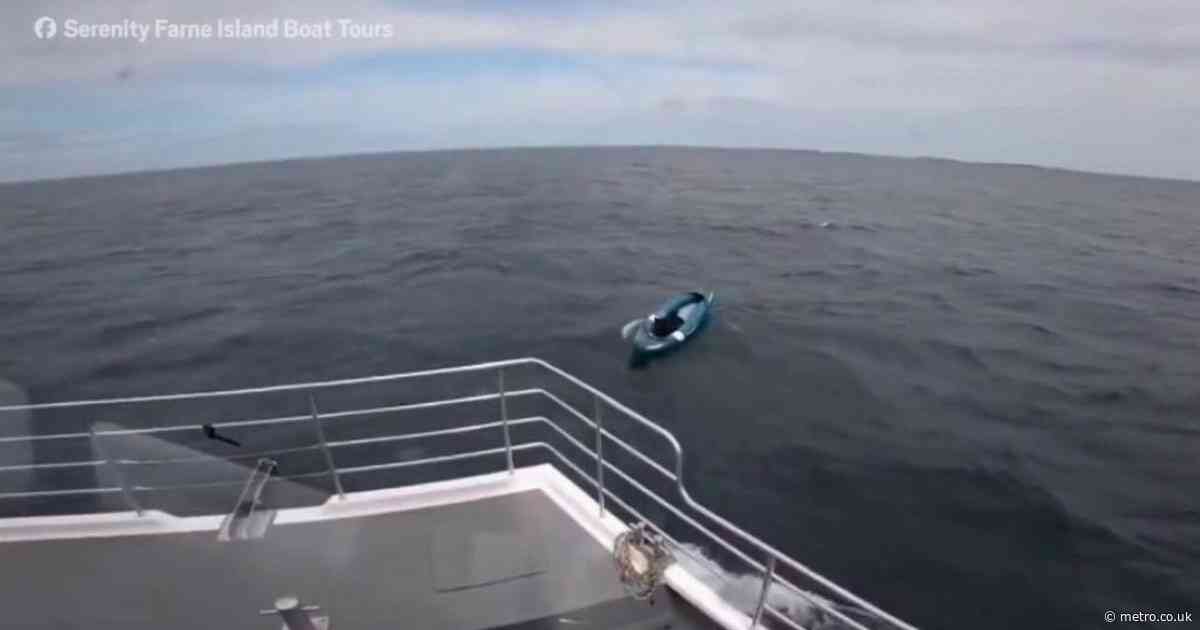 Dog drifting alone on kayak rescued in North Sea