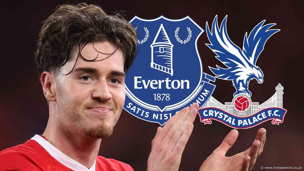 Everton transfer latest - Hayden Hackney, Shea Charles, Harry Wilson