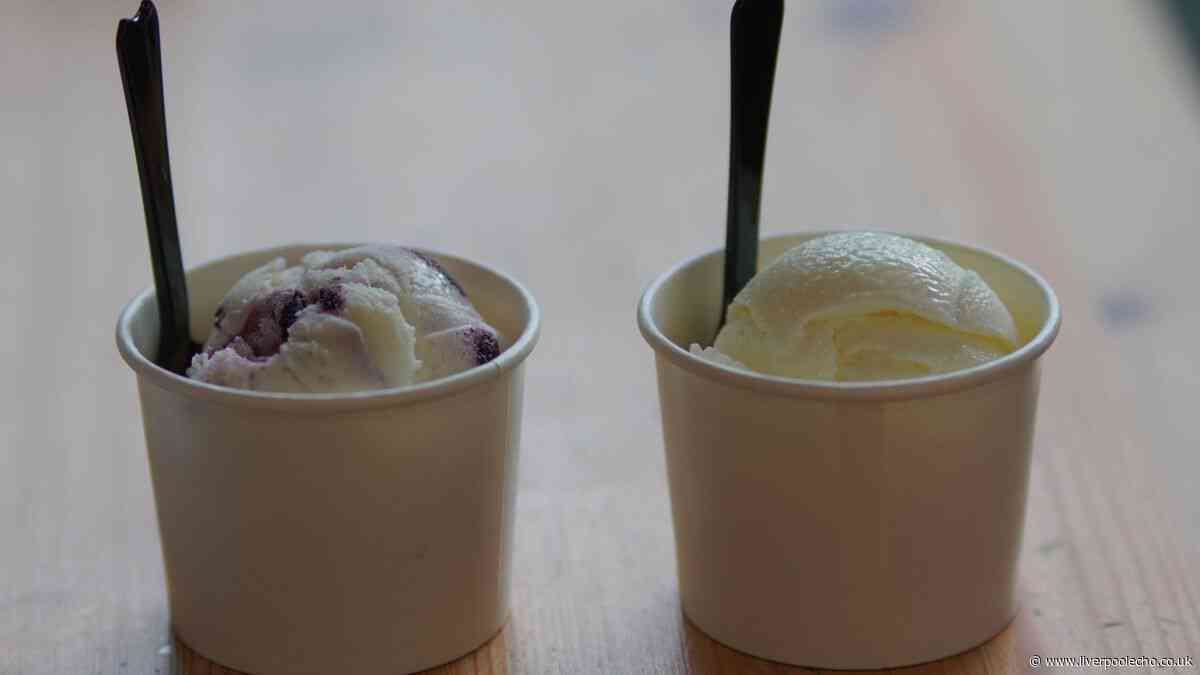 Tourists in Rome order two small ice creams and are floored by the price