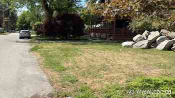 Have a golden lawn? You could win a prize for that if you live in this part of B.C.