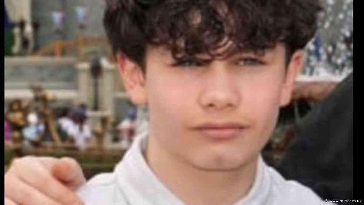 Brentwood schoolboy, 12, pictured after horror death as family 'living every parents' nightmare'