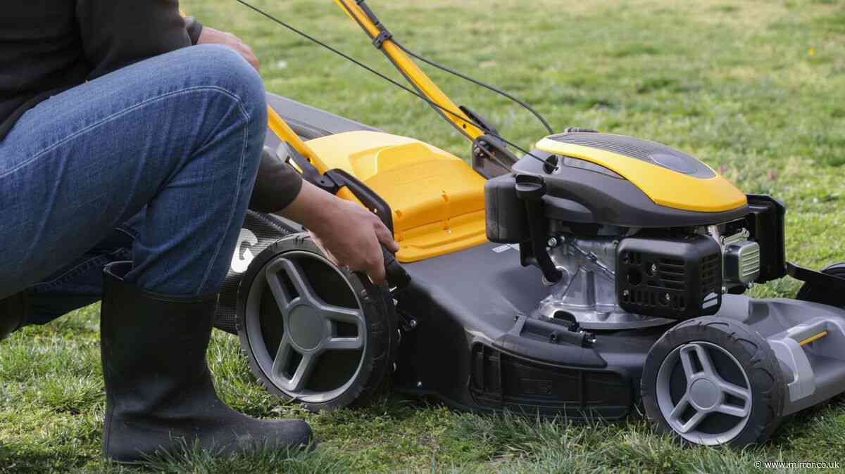 'Biggest mistake' people make before cutting grass after rain