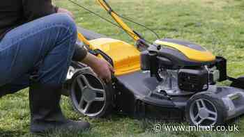 'Biggest mistake' people make before cutting grass after rain
