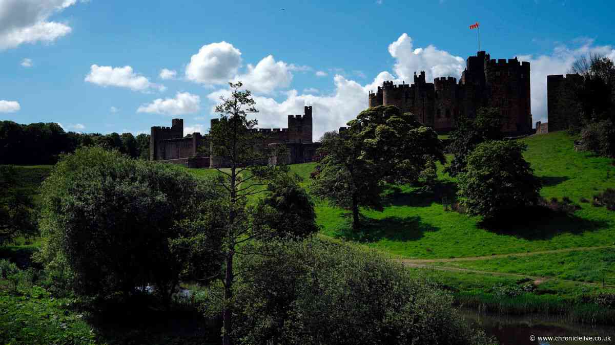 'Absolutely perfect' Northumberland holiday let minutes from spectacular castle