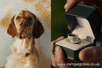 Taylors ads showcase a love for coffee percolating into everyday situations
