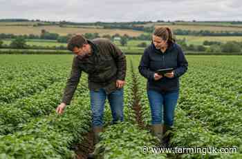 Tesco urges low-carbon fertilisers to move beyond farm trials