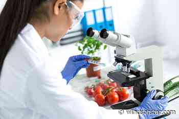Gene editing: The birth of the designer child