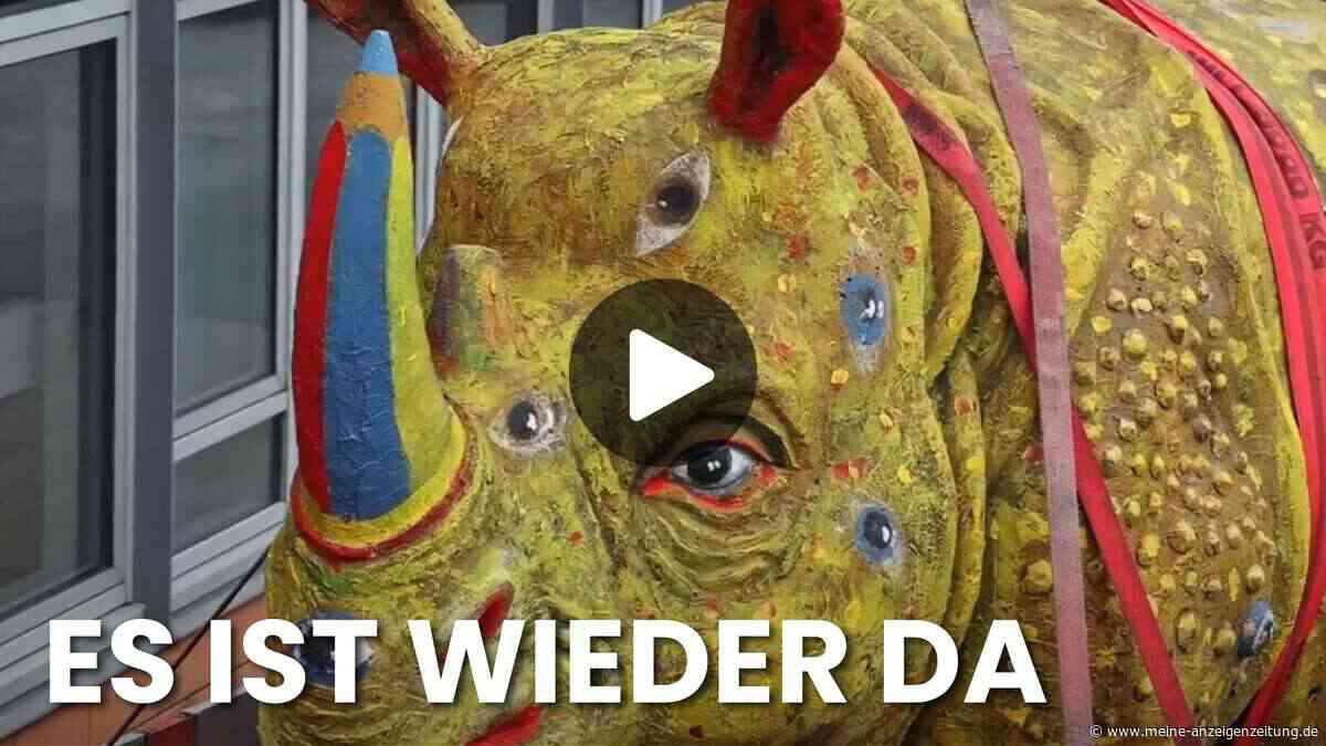 Video: Augen-Nashorn kehrt nach 15 Jahren auf Flensburger Rathaus zurück