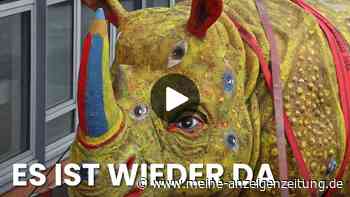 Video: Augen-Nashorn kehrt nach 15 Jahren auf Flensburger Rathaus zurück