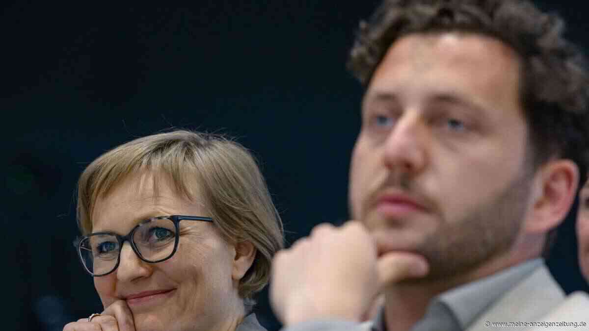 Grünen-Urabstimmung zur Parteireform beginnt – Kritiker fürchten zu viel Macht für Funktionäre