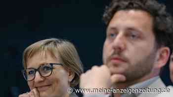 Grünen-Urabstimmung zur Parteireform beginnt – Kritiker fürchten zu viel Macht für Funktionäre