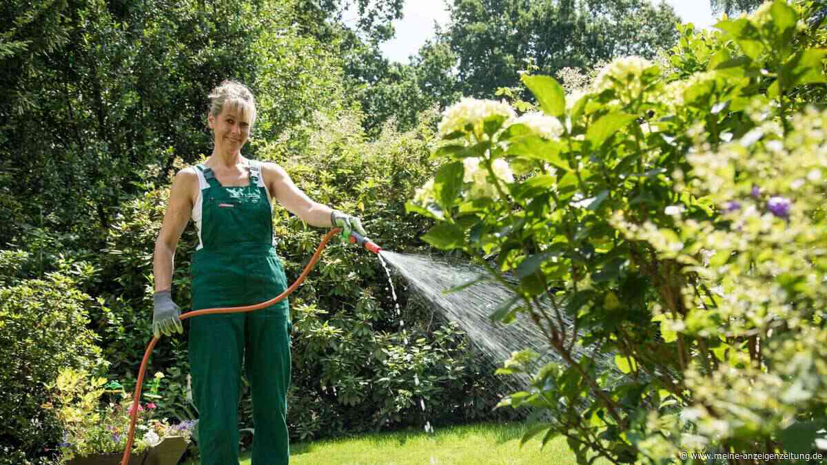 Knick und Co.: Der Schlauch muss zum Garten passen
